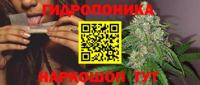 дмт Янаул