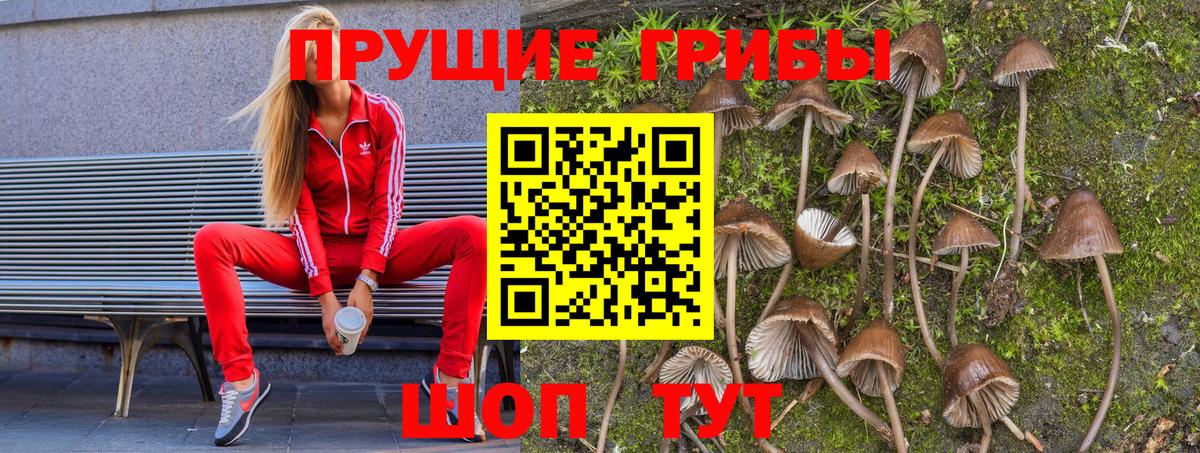 Галлюциногенные грибы прущие грибы Омск